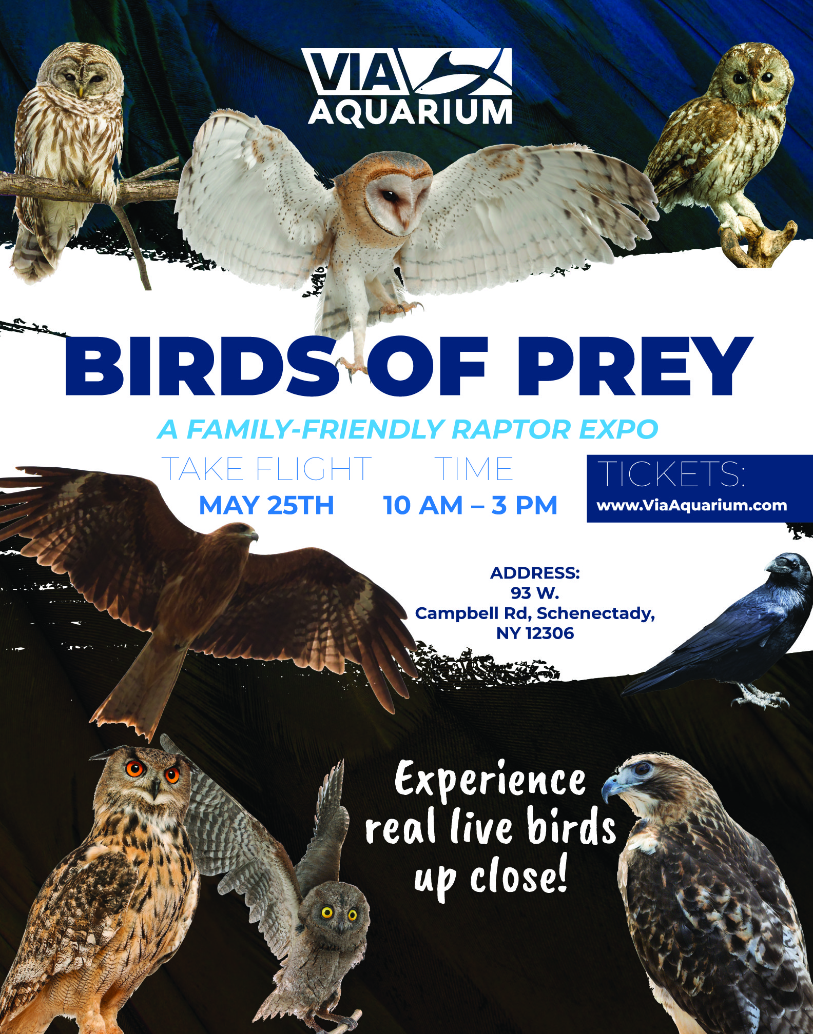 VIA Aquarium Birds of Prey Raptor Event